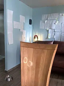 Canneela online show from November 2025 06:08:01 PM