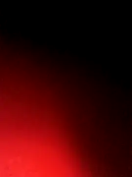 Snapshot of BlackCobraOwner chatting on October 2025 11:21:02 AM BlackCobraOwner online show from October 2025 11:21:02 AM