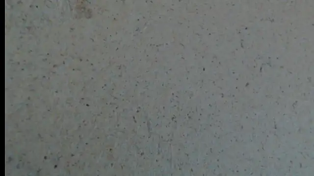 crazy daniela online show from October 2025 08:18:01 PM