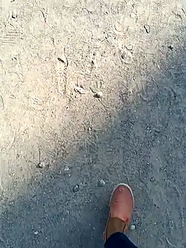 Snapshot of beerant chatting on November 2025 05:35:01 AM beerant online show from November 2025 05:35:01 AM