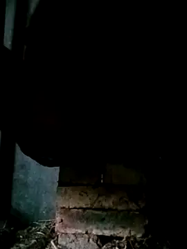 NegroArg 22 online show from October 2025 09:44:02 PM