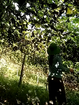 ngan-cute online show from October 2025 01:30:02 AM