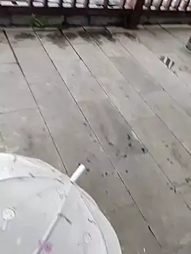 Snapshot of shaoshao-7758 chatting on October 2025 11:48:02 PM shaoshao-7758 online show from October 2025 11:48:02 PM