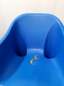 siya rani67 online show from September 2025 03:38:02 AM