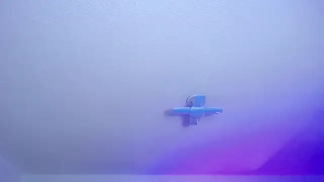  Charlotte Collins  online show from March 2026 02:35:02 PM