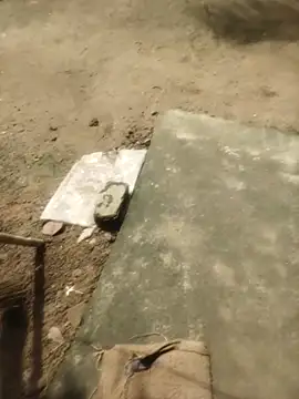 Snapshot of poojasexygirl2007 chatting on October 2025 04:31:02 AM poojasexygirl2007 online show from October 2025 04:31:02 AM