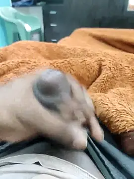 Yourminal online show from October 2025 02:26:02 PM