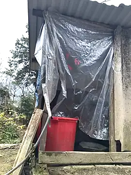 liu-liusexy online show from January 2026 08:18:01 AM