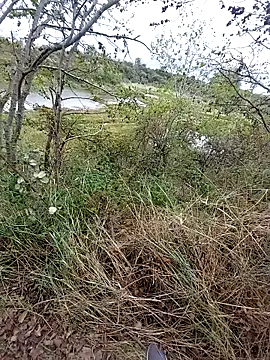 Snapshot of slaveman4you chatting on September 2025 12:40:02 PM slaveman4you online show from September 2025 12:40:02 PM