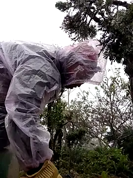 Snapshot of tcm-cute chatting on November 2025 08:04:02 AM tcm-cute online show from November 2025 08:04:02 AM