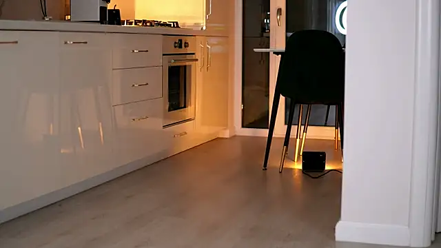 Snapshot of ElaraShine chatting on February 2026 08:29:02 PM ElaraShine online show from February 2026 08:29:02 PM