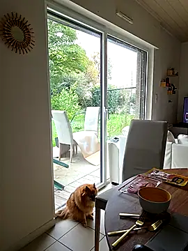 CornetDeGlace online show from October 2025 11:55:02 AM