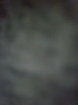 GoodVdick online show from November 2025 07:34:02 AM