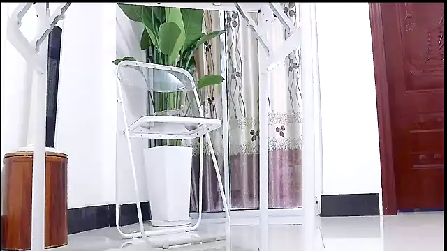 Snapshot of Tianxin6 chatting on December 2025 03:34:01 AM Tianxin6 online show from December 2025 03:34:01 AM