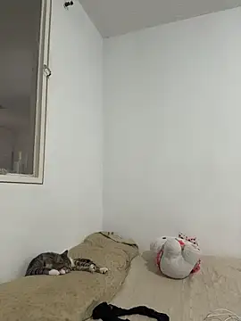 Snapshot of aliciia_23 chatting on November 2025 08:11:02 PM aliciia 23 online show from November 2025 08:11:02 PM