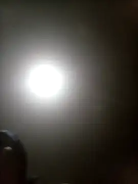 Bebicho14 online show from March 2026 04:17:02 AM