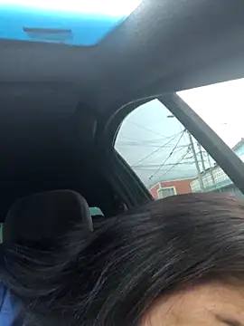 MAFE  29 online show from December 2025 12:34:02 PM