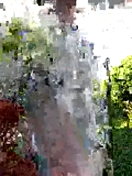 Snapshot of AlphaAlterX chatting on December 2025 12:34:02 PM AlphaAlterX online show from December 2025 12:34:02 PM