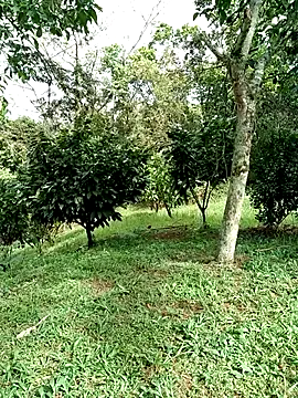 Snapshot of AlphaAlterX chatting on January 2026 02:43:02 PM AlphaAlterX online show from January 2026 02:43:02 PM