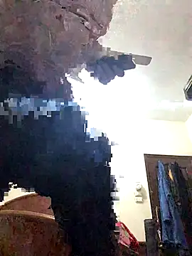 Snapshot of FlungBergenia chatting on December 2025 06:04:02 PM FlungBergenia online show from December 2025 06:04:02 PM