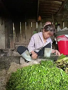 Mai bb online show from November 2025 07:42:01 AM