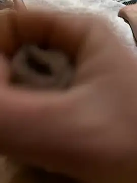 nbka12 online show from February 2026 12:48:02 PM