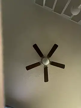 dmmeformerch online show from March 2026 11:28:02 PM