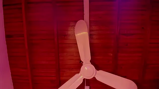 Gabby Haze online show from December 2025 10:25:01 PM