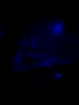 johnboones10 online show from November 2025 08:31:01 AM