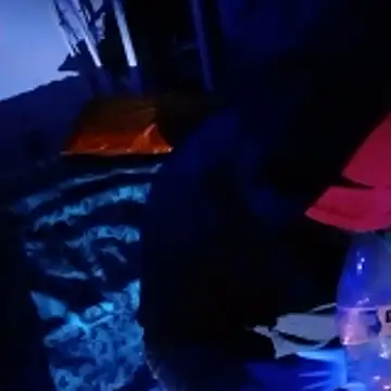 johnboones10 online show from February 2026 05:00:02 PM