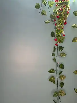 V-Hot-Sweti online show from March 2026 05:25:01 PM