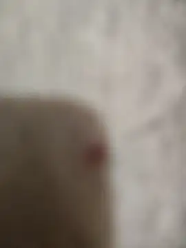 Snapshot of sert_erkekk chatting on January 2026 09:42:02 PM sert erkekk online show from January 2026 09:42:02 PM