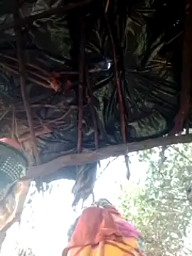 H seema online show from February 2026 01:53:01 AM