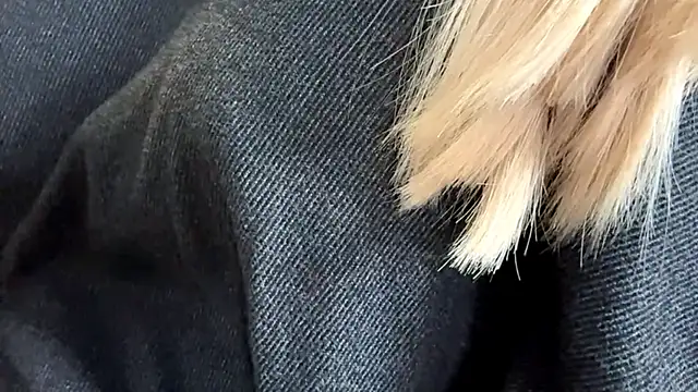 Sweet horizon online show from September 2025 05:42:01 AM