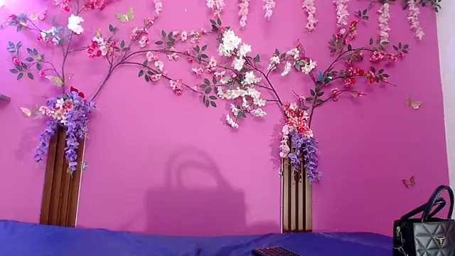 skinnysofia18 online show from May 2026 12:50:01 AM