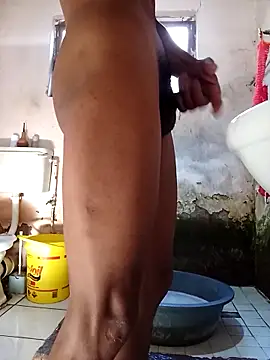 Snapshot of average_price chatting on October 2025 04:45:01 AM average price online show from October 2025 04:45:01 AM