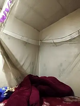 siki-00 online show from February 2026 08:13:01 AM