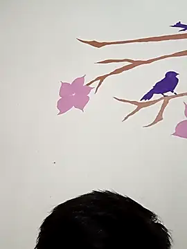 DavidVergagigante420 online show from November 2025 05:50:02 AM