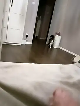 Snapshot of NiceBadgera chatting on October 2025 06:40:02 PM NiceBadgera online show from October 2025 06:40:02 PM