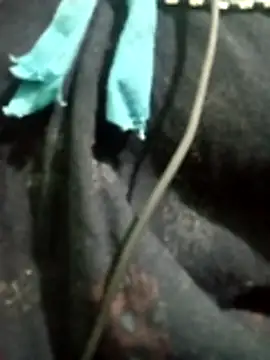 Telugu hot cpl online show from December 2025 05:51:02 PM