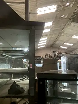 True Di online show from December 2025 11:15:02 AM