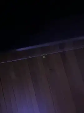 XBODTRIIPX online show from April 2026 11:15:02 PM