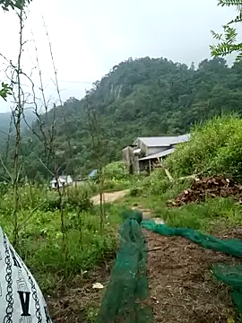 keobong-00 online show from September 2025 02:44:02 AM