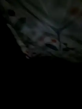 Snapshot of 8133vaibhavh chatting on February 2026 02:28:01 AM 8133vaibhavh online show from February 2026 02:28:01 AM