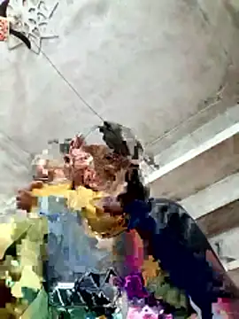 Cm pooja online show from January 2026 10:39:01 AM