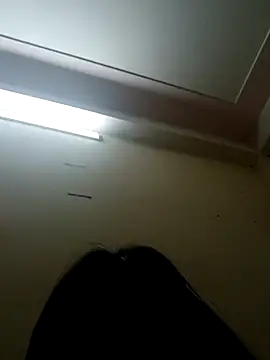 Snapshot of kata-00 chatting on February 2026 04:02:01 AM kata-00 online show from February 2026 04:02:01 AM