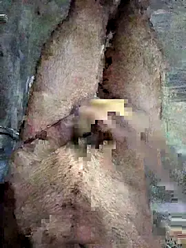 Snapshot of ash706339 chatting on September 2025 06:52:02 PM ash706339 online show from September 2025 06:52:02 PM