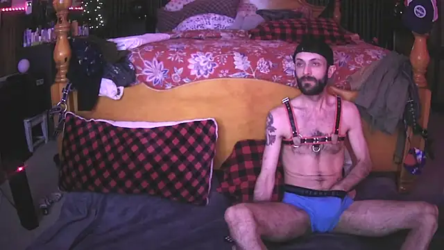 HarmoniousPhantasm3 online show from November 2025 12:21:01 AM