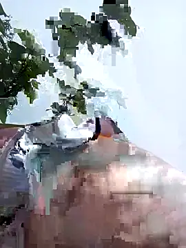 bonnie-00 online show from May 2026 02:29:02 AM