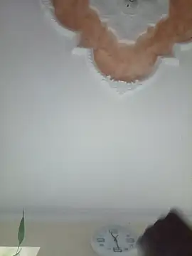 Snapshot of Elsuave28 chatting on January 2026 04:27:01 AM Elsuave28 online show from January 2026 04:27:01 AM